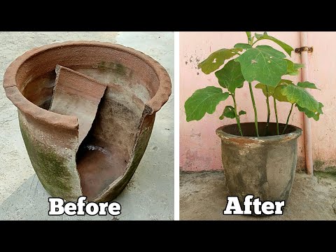 How To Repair A Broken Terracotta Pot / How To Repair A Broken Pot Easily | My 100th Video |