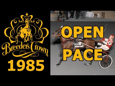 1985 Breeders Crown - Division Street - Open Pace