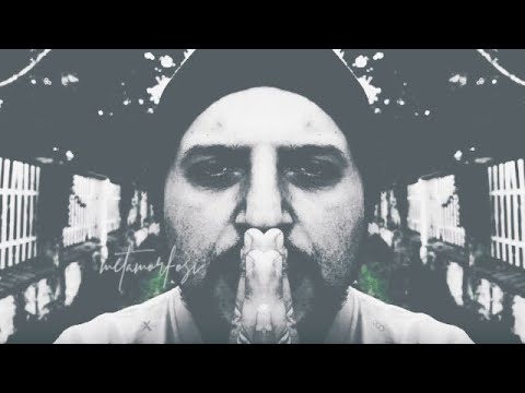 Sir Oblio feat. Mister Ics - Metamorfosi | Insect Noise (Video Ufficiale)