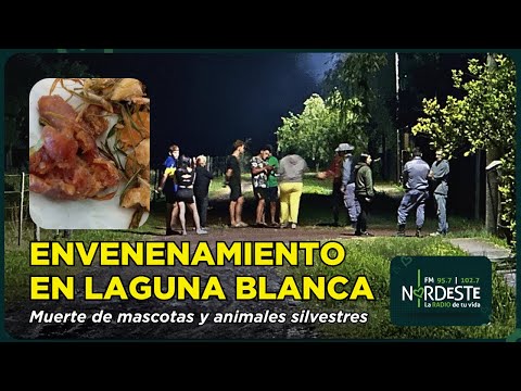 Envenenamiento en Laguna Blanca: Tony Lockett relata la muerte de mascotas y animales silvestres