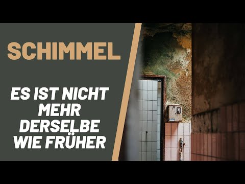 Schimmel - Es ist nicht mehr derselbe wie früher