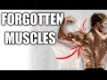 Forgotten Muscles | Mike O'Hearn