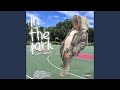 In The Park