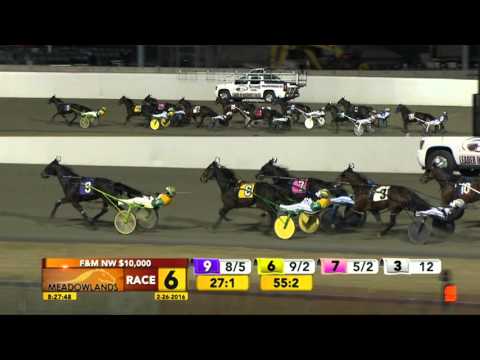 Meadowlands February 26, 2016 - Race 6 - Jerseylicious