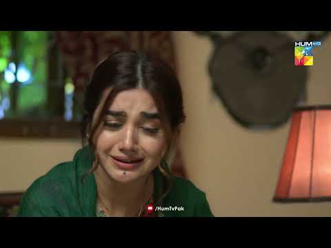 Meri Himmat Tou Meri Umeed Thi... Beqadar - HUM TV Drama