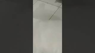 Download lagu Isi bantal dan guling silikon mp3