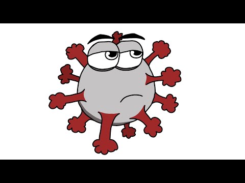 Das Coronavirus - kurz erklärt