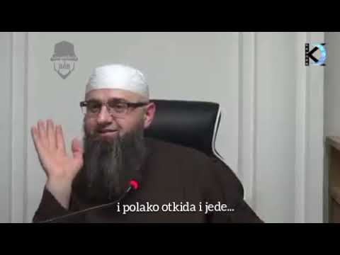 Skup ljudi rekla kazala!