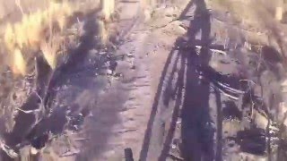 Chasing My Shadow  (Soundtrack by Locochino!)