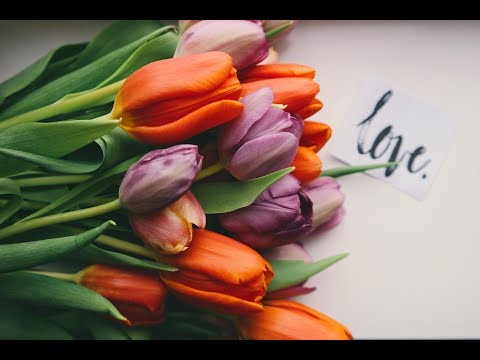 Kulta Grupa Saules Krasts  "Satikšanās"