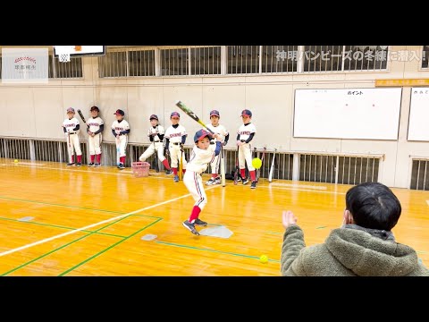 桐生市学童チーム紹介 -神明バンビーズ-