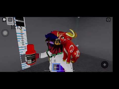 Freight elevator @Matt City Market