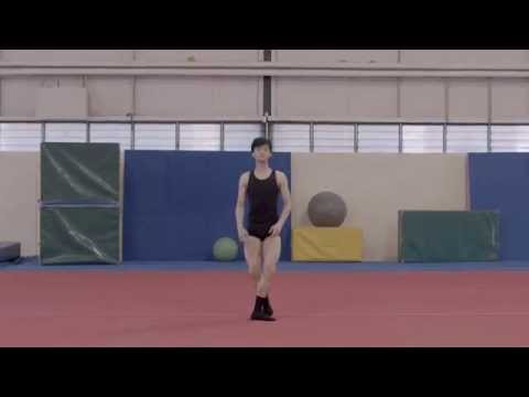 Meet Principal Artist Chengwu Guo