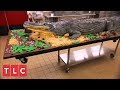 Making A 14 Foot Alligator Cake Cake Boss
