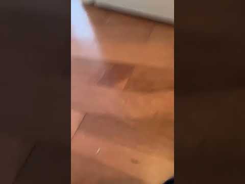 Spamton’s chocolate