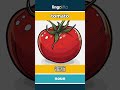 tomato - 番茄 video thumbnail