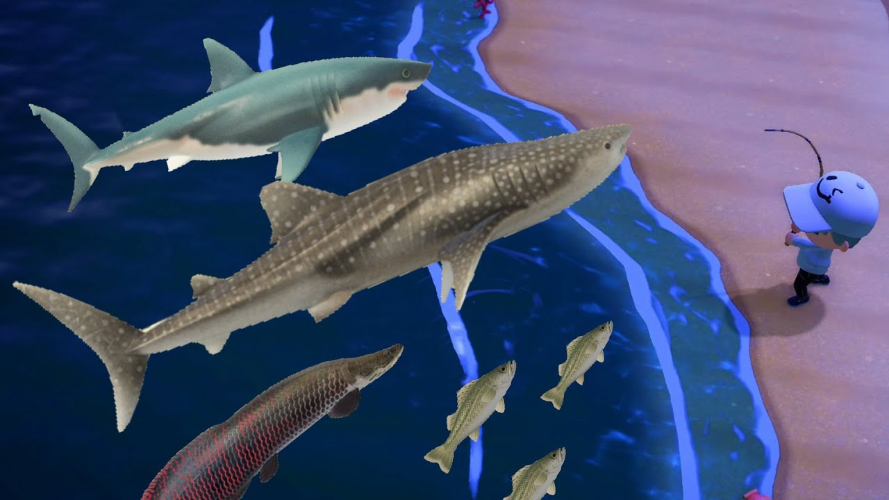 島がバグって巨大魚島になったんだけどｗｗ【あつ森】