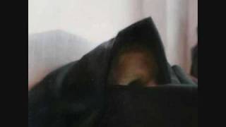 true widow - duelist.wmv