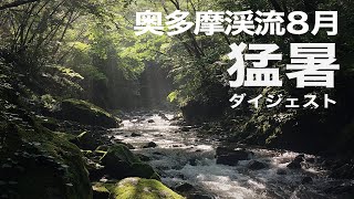 8月の奥多摩ルアー釣行