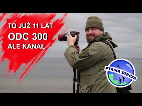 11 years of Bird Zone; episode no. 300