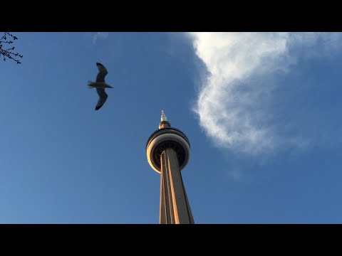 Bmx - The Nolas