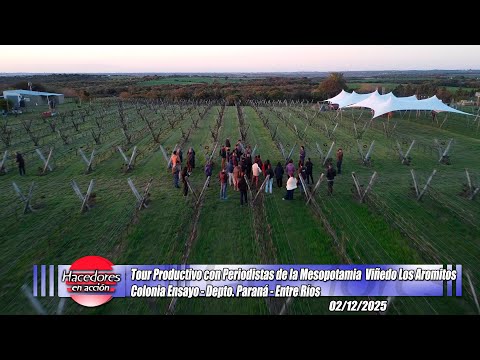 Viñedo Los Aromitos - Leandro Jacob