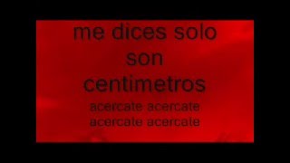 adheridos separados panda