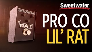 Video thumbnail for Pro Co Lil’ RAT Distortion/Fuzz/Overdrive Pedal Demo by Sweetwater