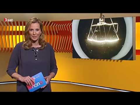 Alkohol macht süchtig und schädigt Gehirn und Leber 18:58 Schädlingsresistent (21.05.2015 Nano)