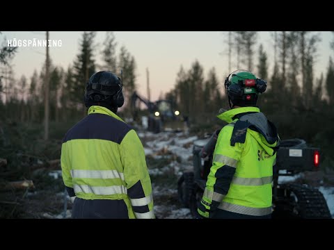 En vecka efter stormen – Simon och Niclas i kaoset