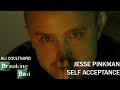 (Breaking Bad) Jesse Pinkman || Self Acceptance ...