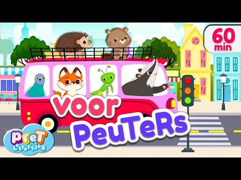 Voertuigen, Dierengeluiden, Boerderijdieren & meer Pretlettertjes Kinderfilmpjes