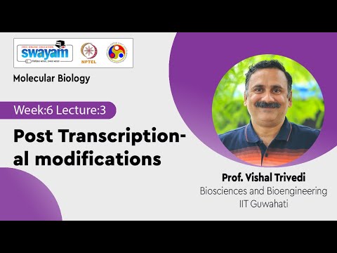 Molecular Biology Introduction Video