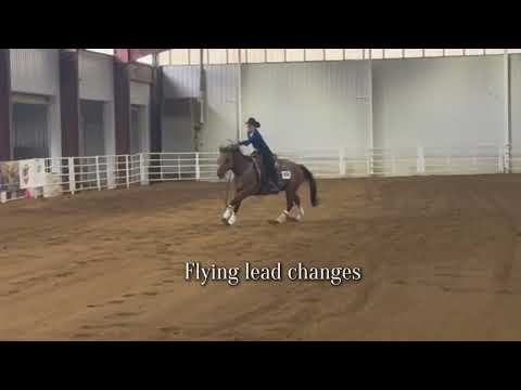 Reining 4H demo