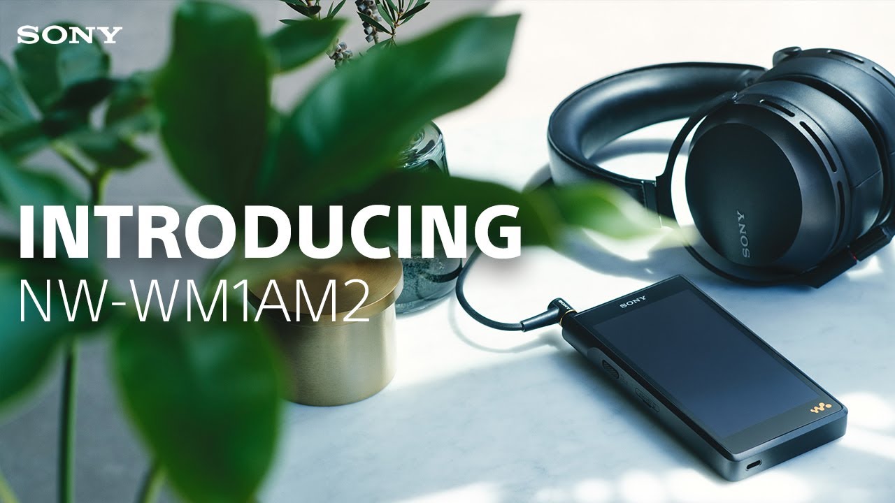 WM1AM2 | Sony Walkman Digital Media Player | Sony United Kingdom
