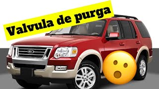 Valvula de purga 2010 Ford Explorer
