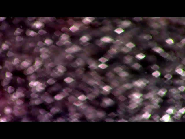 Lake Riley │ Experimental Short Film