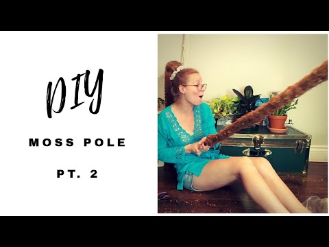 HOW TO MAKE A MOSS POLE (Pt. 2) Espresso Edition | DIY | Plant Trellis