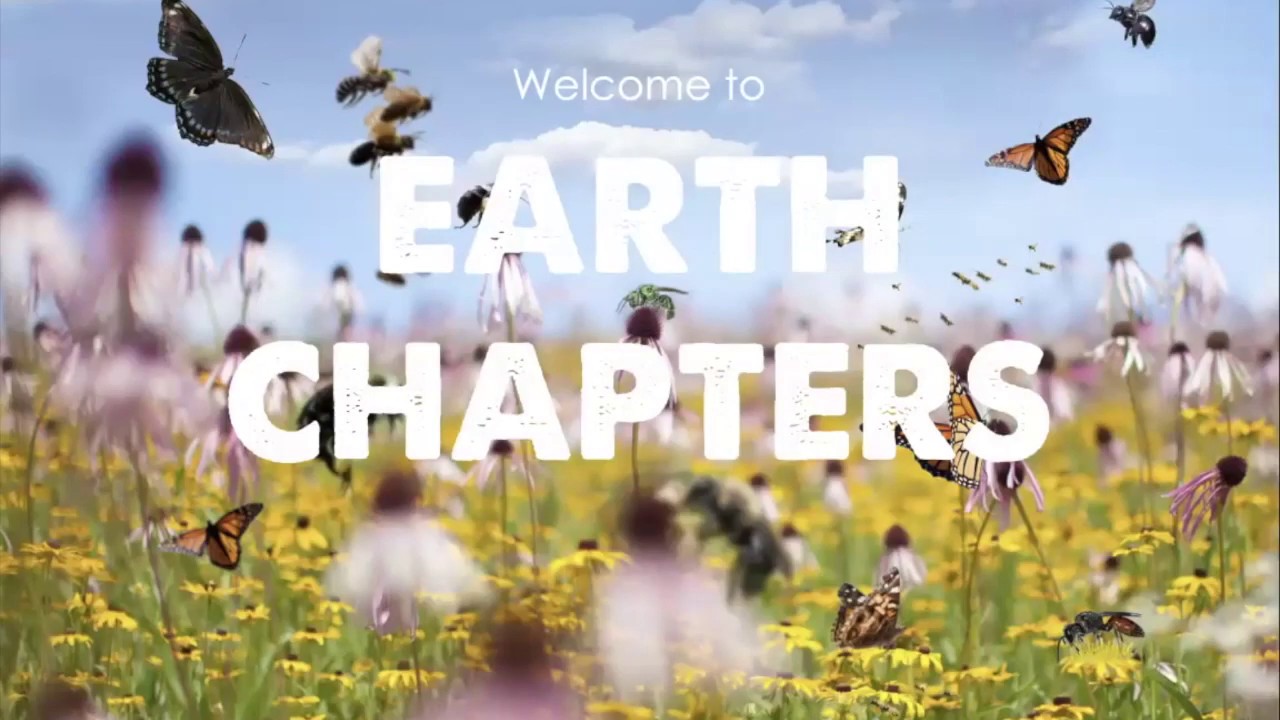 Earth Chapter 5: Buckthorn, woodland understory diversity, and how to help injured spring wildlife