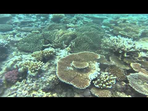 BCM oral presentation Australia