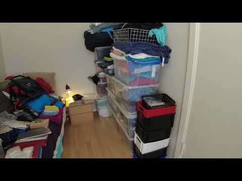 MongoTV_11000 - MIN NYE LEJLIGHED - Del 115 - Tirsdag - Bruger 3 Nye Små Transportvogne