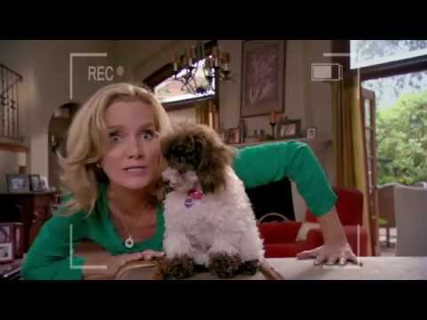 Dog With A Blog - The Talking Puppies