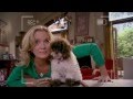 Dog With A Blog The Talking Puppies