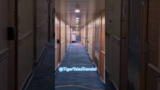 Engine humming on Carnival Elation! 🛳️