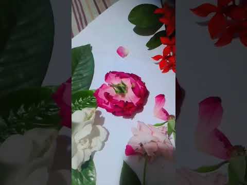 #nature #flowerbeauty #love #flowers