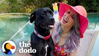 Whitney Cummings Fosters A Pittie With Two Working Legs  | The Dodo Foster Diaries by The Dodo