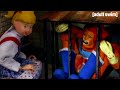 Adopción Gatuna Robot Chicken Adult Swim LA