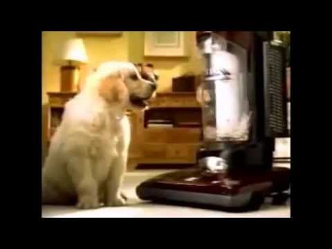 Dirt Devil: Vision | :15