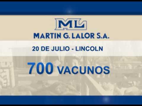 20-07-16 - REMATE MARTIN G. LALOR - 700 VACUNOS