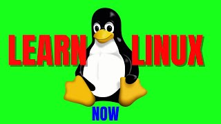 🐧Linux Programming Tutorial for Absolute Beginners in Bioinformatics🧬and Data Science 🔍 (2023)!